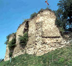 burgruine_neuhaus2